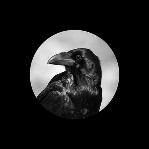 国产成人综合系列
