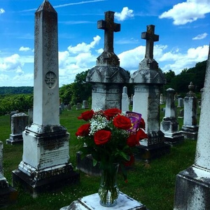 国产成人综合系列
