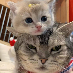 国产成人综合系列
